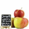 Apfel Jonagold 1kg - Obsthof Alber